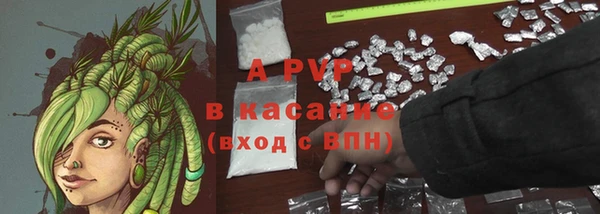 ГАЛЛЮЦИНОГЕННЫЕ ГРИБЫ Костерёво