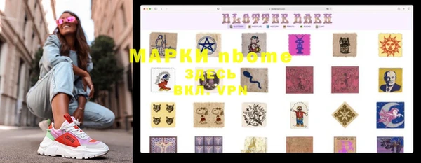 ГАЛЛЮЦИНОГЕННЫЕ ГРИБЫ Костерёво