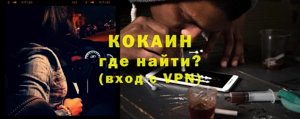 ГАЛЛЮЦИНОГЕННЫЕ ГРИБЫ Костерёво