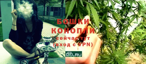 ГАЛЛЮЦИНОГЕННЫЕ ГРИБЫ Костерёво