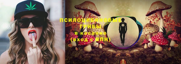 ГАЛЛЮЦИНОГЕННЫЕ ГРИБЫ Костерёво