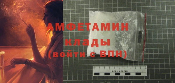 ГАЛЛЮЦИНОГЕННЫЕ ГРИБЫ Костерёво