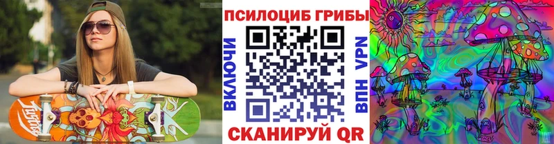 Купить  Выкса  Галлюциногенные грибы GOLDEN TEACHER 